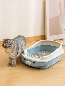 Tips Mudah Toilet Training untuk Kucing