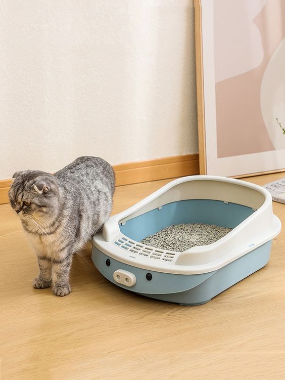 Tips Mudah Toilet Training untuk Kucing
