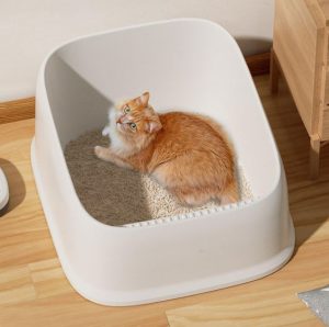 Pentingnya Kebersihan Litter Box untuk Kesehatan Kucing